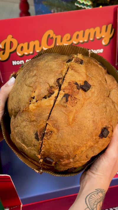 Pancreamy Panettone nella versione con gocce di cioccolato